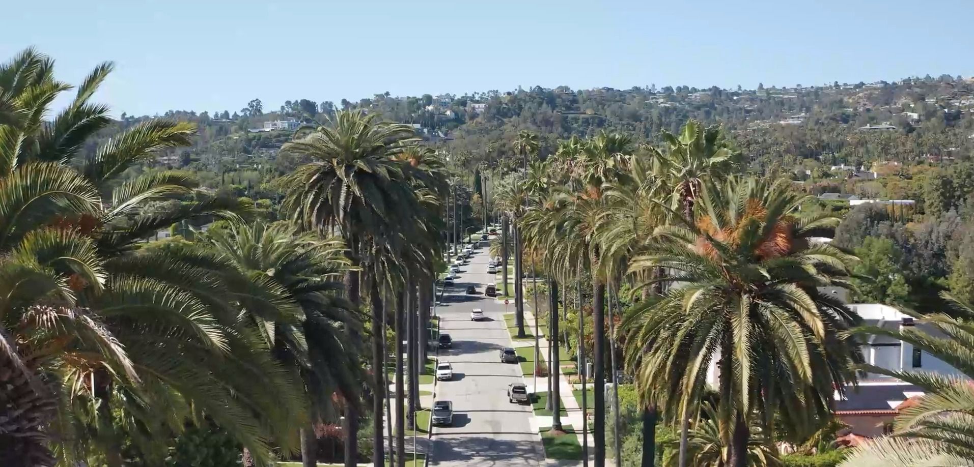 A road with palms in California